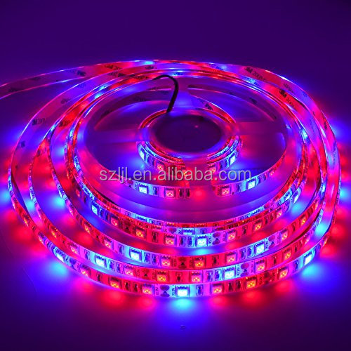 Impermeable 3 rojo 1 azul de 12 voltios DC SMD 5050 tira de LED planta crecer luces/Tira suave