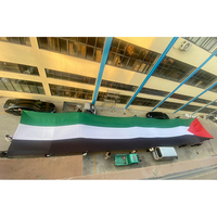 Vente en gros 3x5 pieds impression numérique polyester rouge noir vert personnalisé drapeau palestinien bannière