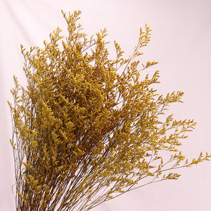 Vente en gros Fleurs conservées pour décoration intérieure <span class=keywords><strong>Desmodium</strong></span> <span class=keywords><strong>Gyrans</strong></span> Herbe de Saint-Valentin pour Noël Thanksgiving Nouvel An chinois - Product Image 3