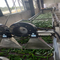 XIYUAN Automatische Luchtbel Fruit- en Groentewasmachine met Nauwkeurige Temperatuurregeling voor Restaurantgebruik, Maïsverwerking, Nieuw