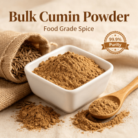 Poudre de cumin naturelle de qualité supérieure pour assaisonnement de curry et barbecue