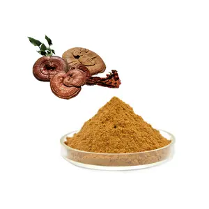 Natural bulk ganoderma mycelium extract Organic 98% pure Ganoderma Mycelium Powder