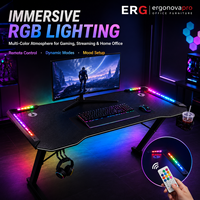 Ergonova RGB Gaming Desk with LED Lights Carbon Fiber Surface Storage Z-shaped Computer Table OEM Custom E-Sports Desk