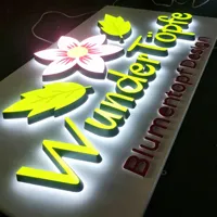 Lettres en relief LED professionnelles pour extérieur, éclairées par l'avant, en acrylique 3D, signalétique lumineuse pour la publicité des restaurants et des cafés