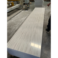 Panneaux de surface solide Staron/LG/Hanex Color Big Slab 3660*760*12mm sans joint UPR et MMA pour l'intérieur