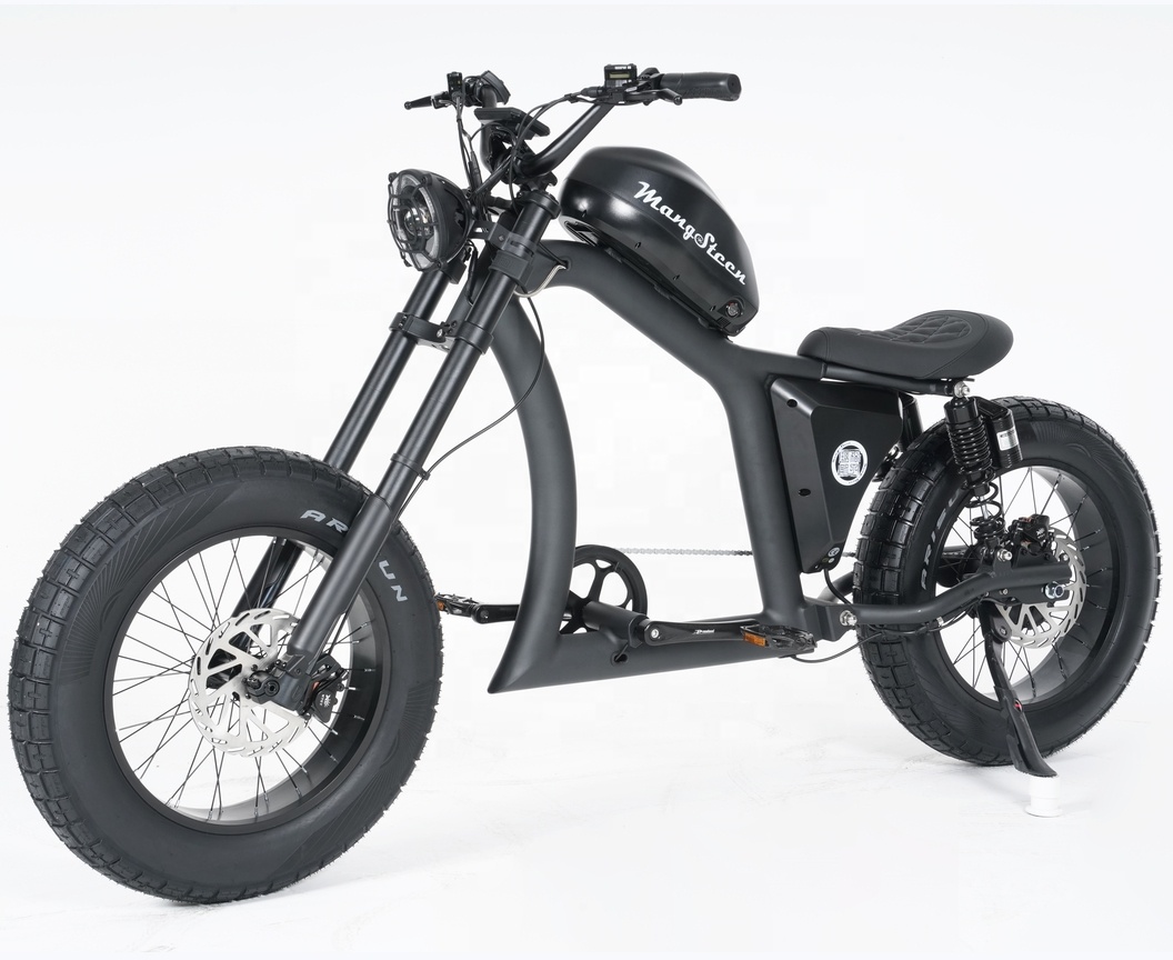 マンゴスチンEBIKE長距離バッテリー付きFT02電気シティバイク