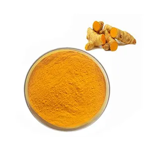 กลุ่มอาหารธรรมชาติเม็ดสี98% Curcumin อินทรีย์รากขมิ้นผงสารสกัดจาก