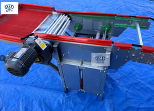 Trung Quốc nhà máy nhà sản xuất trứng thu thập Dòng chuỗi trứng truyền đạt thiết bị - Product Image 3