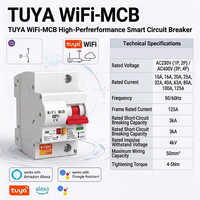 Disjoncteur intelligent Tuya Smart Life 2P 230V à commande à distance sur rail DIN, Wi-Fi, MCB, interrupteur intelligent Tuya, disjoncteurs miniatures