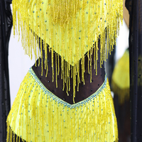 Robe de performance de danse latine jaune et noire, instrument de musique folklorique chinois traditionnel en bois de rose, tenue complète de performance Sandan