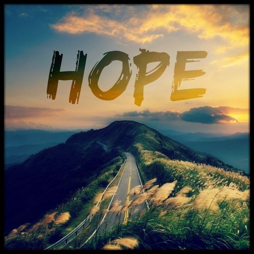 Yongkang Hope Import & Export Co., Ltd. logo
