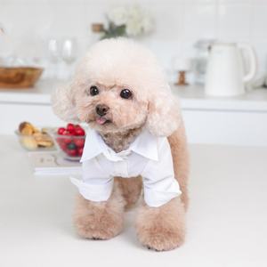 เสื้อเชิ้ตแขนยาวสำหรับสุนัขแมวสีขาวเสื้อผ้าสำหรับสัตว์เลี้ยงสุภาพบุรุษเสื้อสำหรับสุนัขฤดูใบไม้ร่วงฤดูใบไม้ผลิดีไซน์เรียบง่ายออกแบบได้ตามต้องการ - Product Image 2