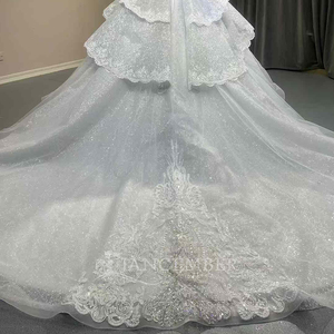 Robe de mariée princesse moderne, coupe bal, longueur ras du sol, pour femme, avec décolleté cœur, traîne chapelle, dos nu et appliques - Product Image 3