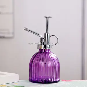 Factory Garden Watering Pot Made Watering Pot Plant Glass Small Spray Bottle with Pump Lid