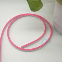 Prix d'usine Bande lumineuse LED néon extérieure étanche IP67 de 5 mètres 12V 2835 Corde néon flexible pour application paysagère