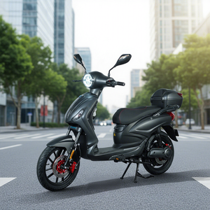 Moped/Scooter électrique pas cher 48V 1000W L1e EEC COC avec batterie au lithium personnalisée pour adultes 40-60 km/h - Product Image 2