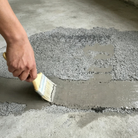 Ciment Portland de qualité industrielle personnalisé pour le remplissage rapide des joints de maçonnerie extérieure moderne et la réparation des fissures d'eau.
