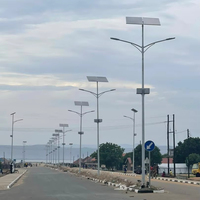 Lampadaire Solaire LED à Panneau Séparé 40W-180W 12000LM-25000LM Haute Efficacité Panneau Monocristallin IP65 Anti-Corrosion Vente en Gros