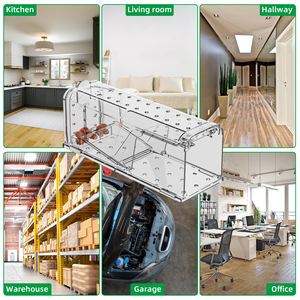 Pièges à <span class=keywords><strong>souris</strong></span> les plus vendus, pièges à <span class=keywords><strong>souris</strong></span> humains sans cruauté, capture et relâchement, pièges à <span class=keywords><strong>souris</strong></span> d'intérieur et d'extérieur, cage de capture de petite taille - Product Image 6