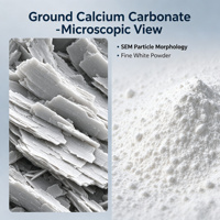 Carbonate de Calcium Industriel 700 Mesh, Pureté 97%, Poudre Blanche, Chargeur de Haute Performance pour le Compostage de PP Modifié (XF-6002)