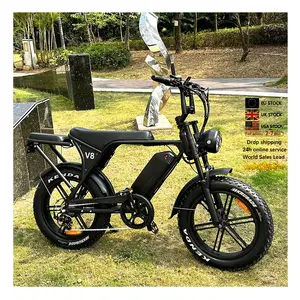 Dubbelzitter 250W/750W Motor Ebike Fatbike Mountain Elektrische Motorfiets E Bike Elektrische Fiets Grote Band V8 3.0