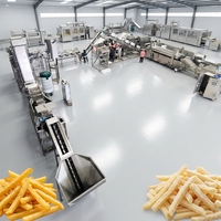 Línea de Producción de Papas Fritas con Sistema de Cinta Transportadora Automatizada para una Operación Continua de Procesamiento de Papas a Alta Velocidad