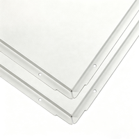 Plaques de plafond décoratives 60 x 60 en aluminium thermolaqué pour hôpitaux - Plafonds perforés résistants à l'humidité et à la chaleur