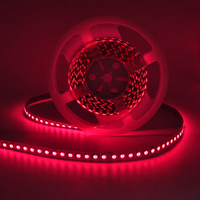 Bande LED DC12V 24V 5050 RGBW RGBWW 30 60 72 84 96 120 LED/M 4 couleurs en 1 puce Bande LED flexible