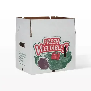 Cajas de cartón de tomate y cereza para embalaje de verduras personalizadas de alta calidad del fabricante