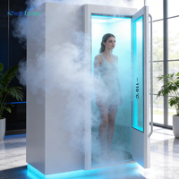 Chambre de cryothérapie électrique -110 ℃   /-85 ℃   Cabine de cryothérapie corporelle complète pour clubs de bien-être