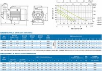 Pompe à eau périphérique de jardin à haute pression électrique monophasée QB60 de 1 2 3 CV 50 Hz 220 V, fabrication chinoise, robuste