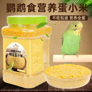 Nourriture pour oiseaux, millet pour oiseaux, 1200 ml, pour l'élevage des perroquets, céréales nutritives, spécial calopsittes - Product Image 2
