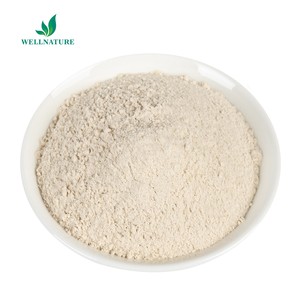 コンドラスクリスプス海苔エキス<span class=keywords><strong>100%</strong></span> 天然海苔粉末工場供給バルク - Product Image 2