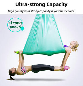 Indoor <strong>Aerial</strong> Yoga Hammock with Logo Anti Gravity Air Nylon Inversion <strong>Portable</strong> Fabric <strong>Aerial</strong> Silk Yoga Swing Hammock - Product Image 5