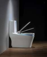 WC monobloc en céramique blanc, nouveau design occidental pour salle de bain
