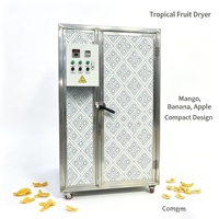 Machine de séchage alimentaire commerciale pour les chips de manioc, les patates douces et les plantains