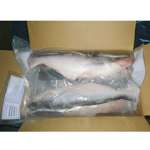 Dondurulmuş Pangasius Balığı Basa Balığı Satılık Yetiştirilmiş Pangasius <span class=keywords><strong>Hypophthalmus</strong></span> Balıkları İyi Vietnam Düşük Fiyat - Product Image 4
