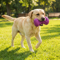 Jouet pour chien en forme d'haltère violet personnalisé, indestructible, en caoutchouc écologique résistant, pour le soin dentaire et la dentition, jouet interactif à mâcher
