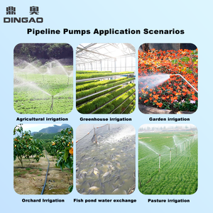 Cast Iron Wear-resistant Low Noise Steady Running Industrial Circulation Pipeline Pump for Factory Closed Pipeline Water Convey - Product Image 6
