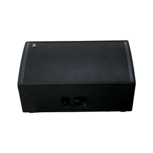 Altavoz Pasivo Profesional de 15 Pulgadas y 500 W - Sistema de Audio Interior Económico para Conferencias - Product Image 3