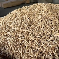 Litière pour chat en fibre de bois de première qualité, personnalisation en petites séries, fabrication en vrac, litière pour chat en bois de pin biodégradable