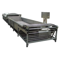 Verse passievruchtensap verwerkingslijn, voedselsterilisator, roestvrij staal, hoge capaciteit, reiniging, wassen, pulperen, PLC-gestuurd