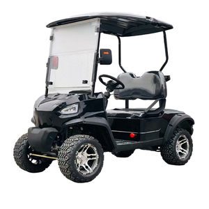 Voiturette de golf 2 places Premium 2025 - Offre à durée limitée Nouvelle voiturette de golf - Product Image 1