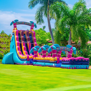 Tobogán Acuático Comercial, Tobogán Gigante Inflable para Patio de Juegos, Toboganes Inflables para Niños y Adultos - Product Image 4