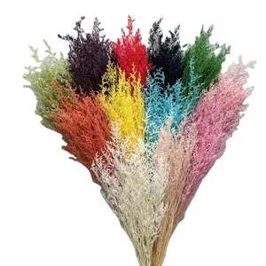 Поставщик сушеных цветов, стабилизированные консервированные цветы, цветы ЛИМОНИЯ, туманная трава, трава