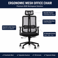 Chaise de bureau ergonomique en maille, directement de l'usine, avec appui-tête 3D et accoudoirs réglables