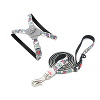 Harnais d'entraînement pour chien réglable anti-traction 360° sans nœuds, rembourré confortable, motif dessin animé, pour usage extérieur – Disponible en dropshipping