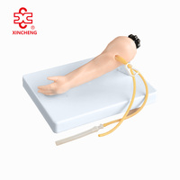 Modelo Anatómico Avanzado de Brazo para Venopunción Infantil para Ciencias Médicas Modelo XC-484