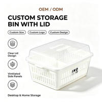 INOMATA Organisateur d'ustensiles de cuisine importé en plastique, moderne, minimaliste, double couche, léger et durable, pour égoutter vaisselle et baguettes