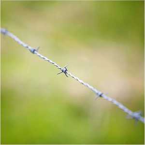 <span class=keywords><strong>ลวดหนาม</strong></span>เหล็กชุบสังกะสีแบบเกลียวคู่ขนาด 1.6/2/2.2 มม. ความยาว 50 ม. สำหรับรั้วปศุสัตว์ ป้องกันสัตว์ ใช้ในฟาร์ม - Product Image 6